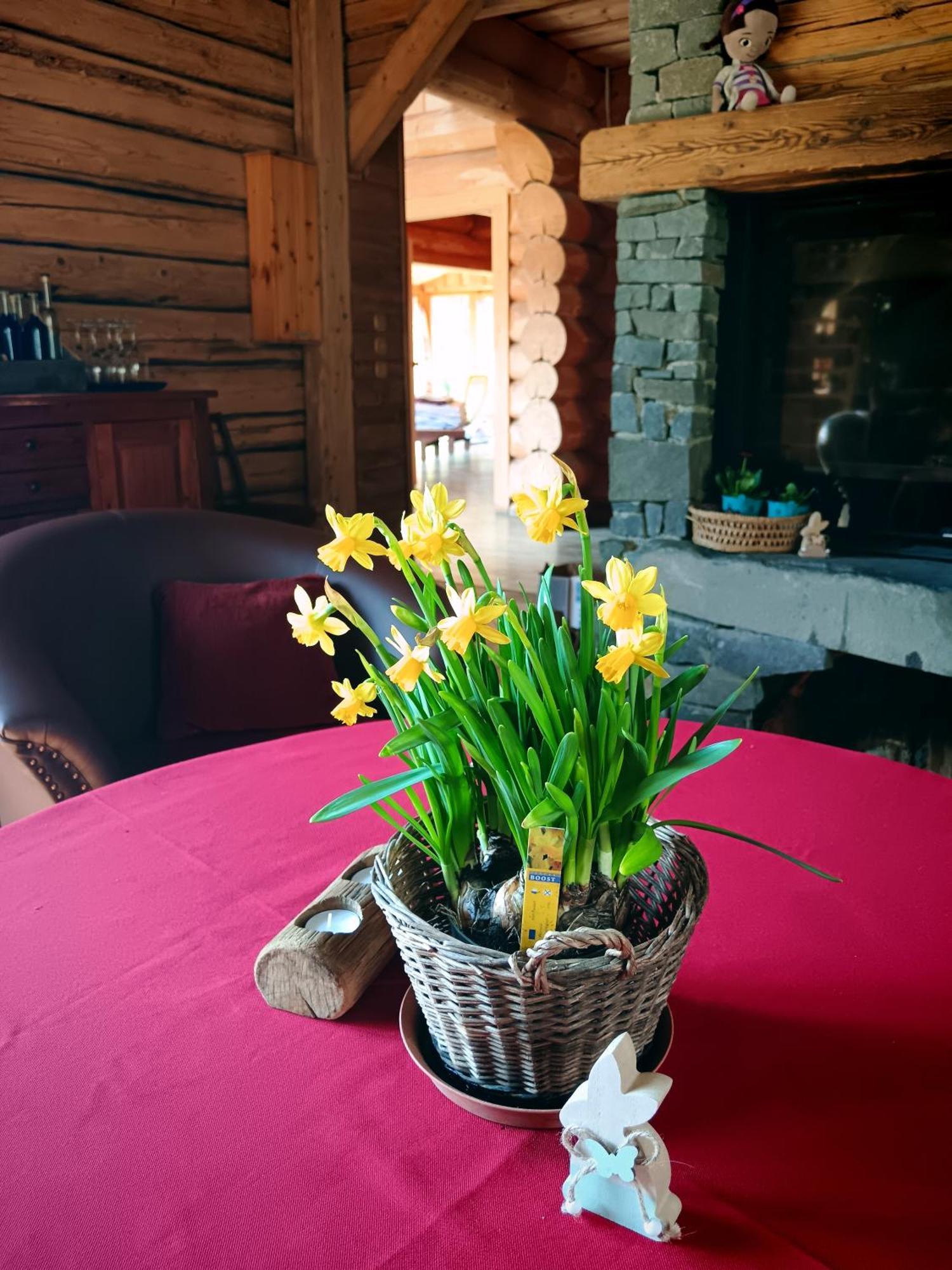 Crossline Lodge Gheorgheni  Εξωτερικό φωτογραφία
