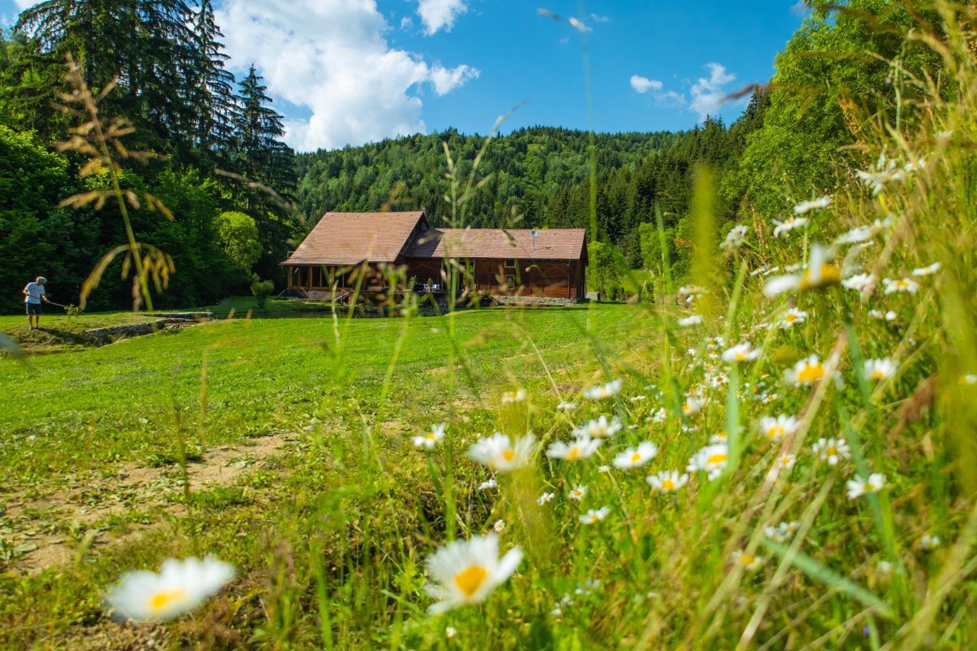Crossline Lodge Gheorgheni  Εξωτερικό φωτογραφία