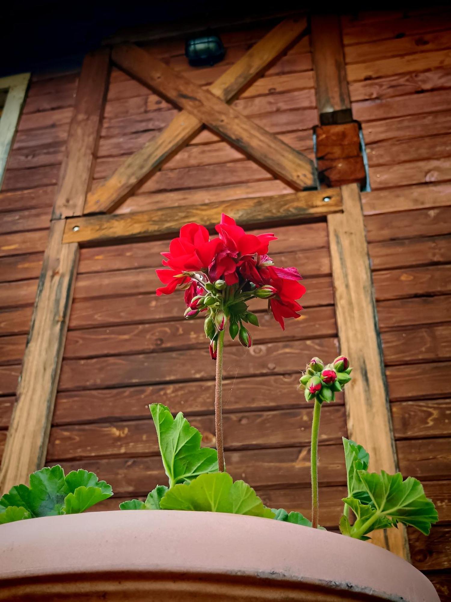 Crossline Lodge Gheorgheni  Εξωτερικό φωτογραφία