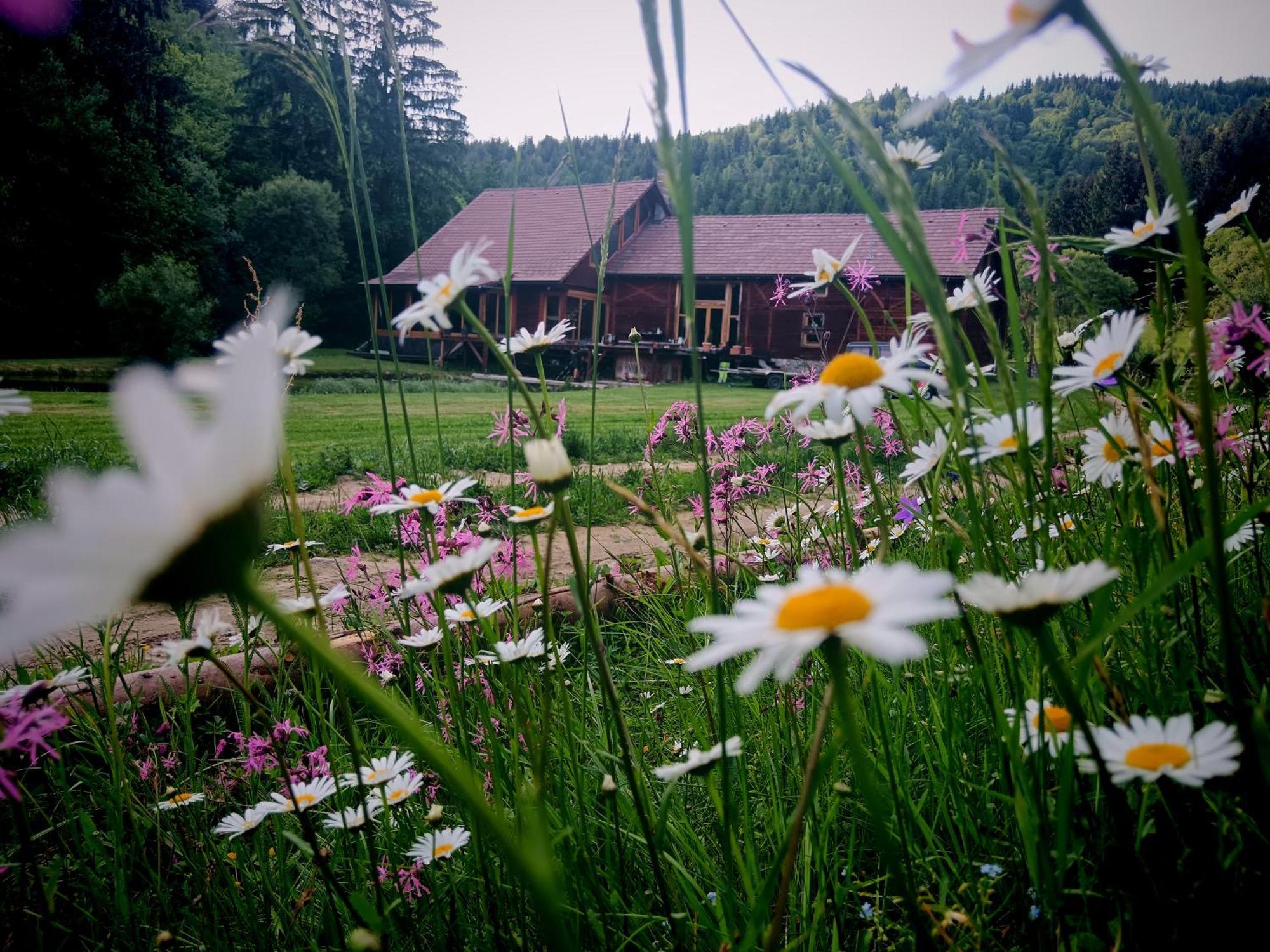 Crossline Lodge Gheorgheni  Εξωτερικό φωτογραφία